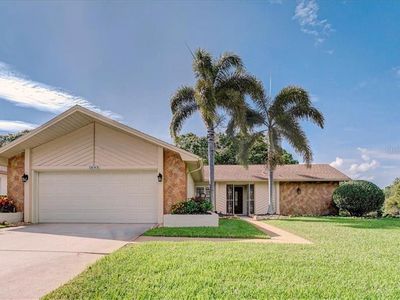 1693 Macdonnell Ct, Palm Harbor, FL, 34684