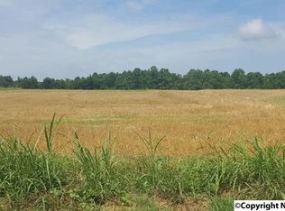 14675 Lucas Ferry Rd, Athens, AL 35611