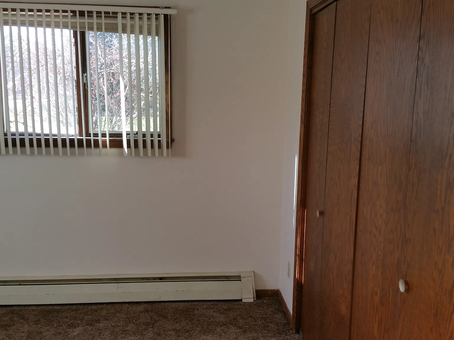 1 Bdrm 1 Bath Apt In North Mankato available November 1st — Photo 3