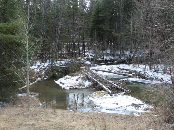 W Cherry Creek Rd, Mio, MI 48647