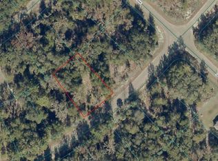 9038-1252-28 GUAVA TRAIL LOT 28, OCKLAWAHA, FL 32179