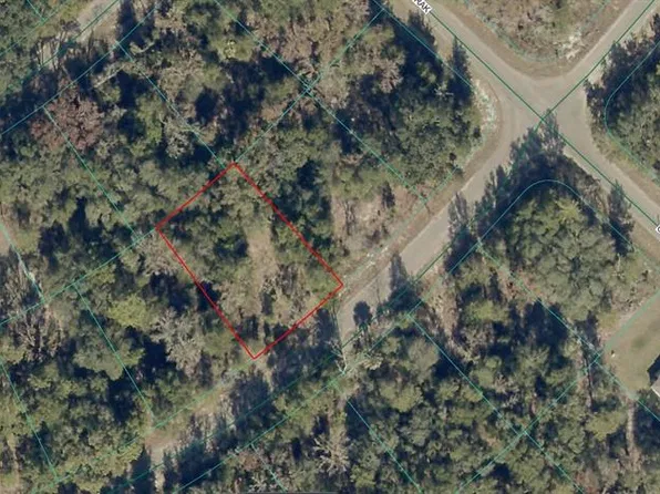 9038-1252-28 GUAVA TRAIL LOT 28, OCKLAWAHA, FL 32179