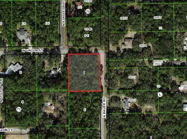 112 N Bauer Rd Lot 1, Lecanto, FL 34461
