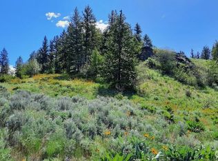 0 Windmill Mountain Rd, Oroville, WA 98844