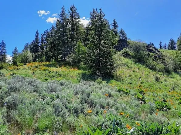 0 TBD Windmill Mountain, Oroville, WA 98844