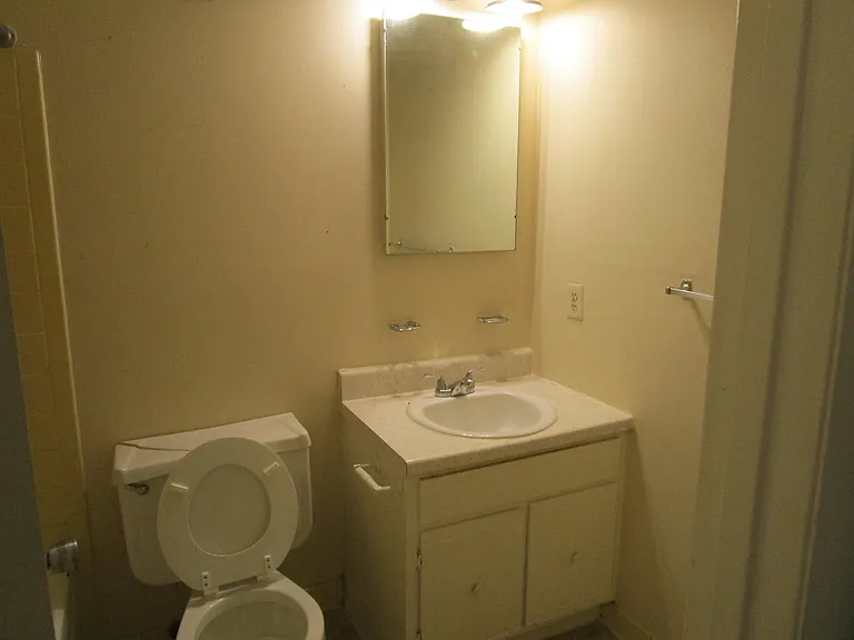 251 Rast St — Photo 11
