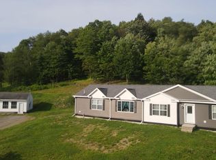98 Knapp Rd, Port Allegany, PA 16743