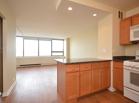 3rd image of 2800 N Lake Shore Dr APT 3111