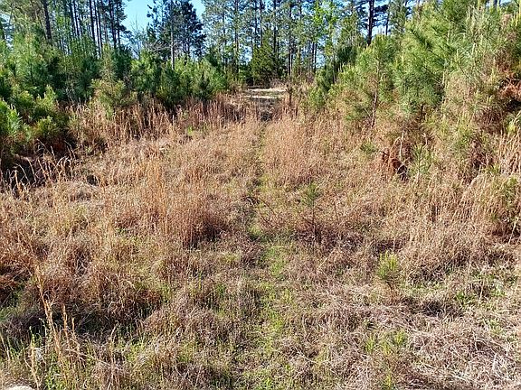3rd image of 521 W Deer Rd
