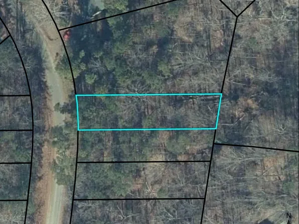 0 Lewis Dr, Lavonia, GA 30553