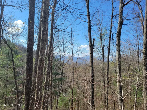 LOT 4 Alpine Dr, Sevierville, TN 37876