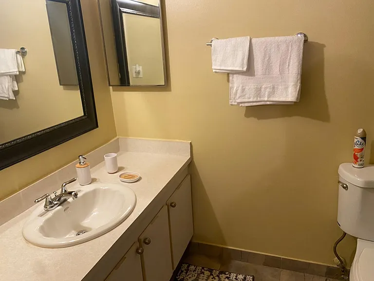 1750 N Congress Ave #403 — Photo 25