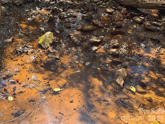 4th image of 335 Woodrow Hoyle Rd