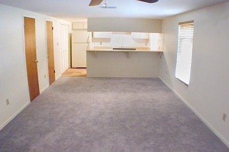 New carpet,windows, blinds