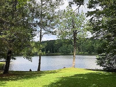 Gorgeous view of lake