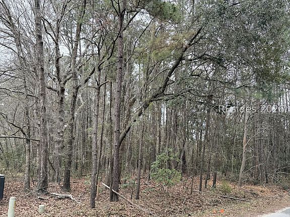 3rd image of 204 Palmetto Bluff Rd