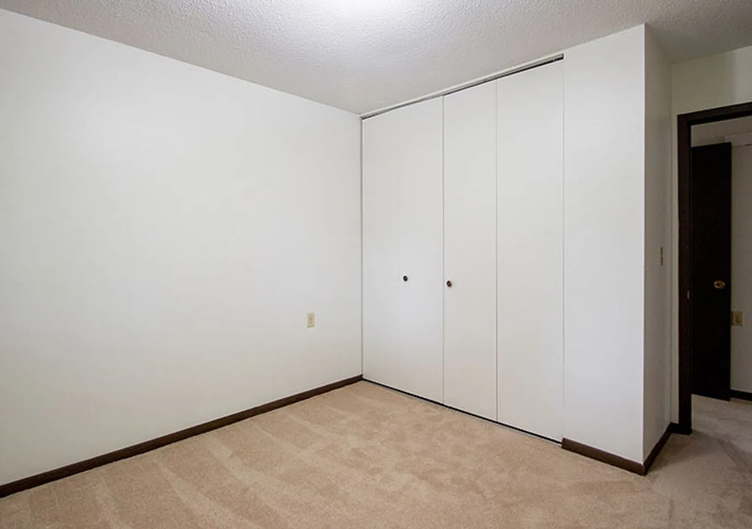 1 bed, 585 sqft, $875 — Photo 4