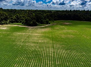 1 State Line Rd, Cottonwood, AL 36320