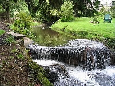 Thornton Creek in back yard