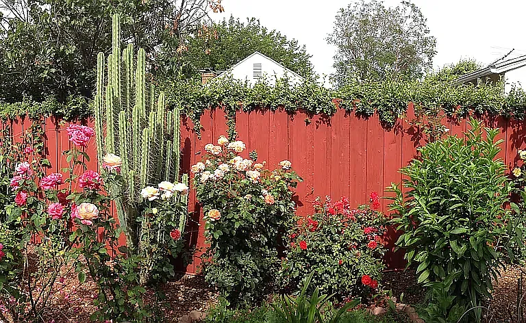 6212 Zelzah Ave — Photo 14