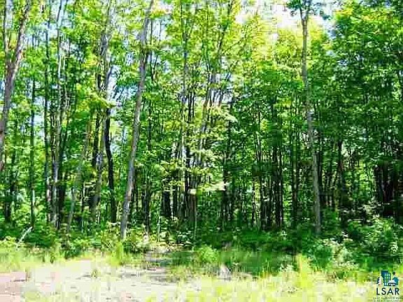5th image of lot 3 Black Woods Dr