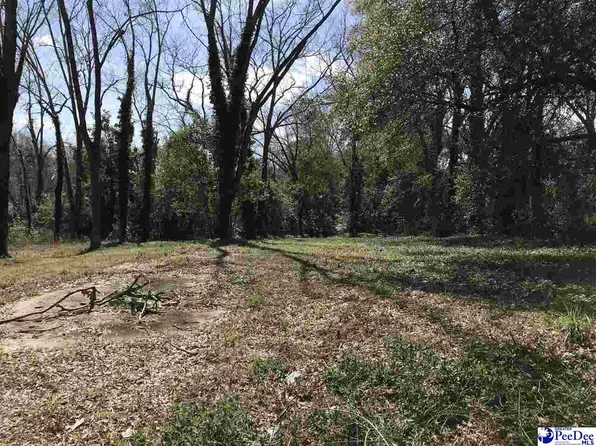 608 Kershaw St, Florence, SC 29506