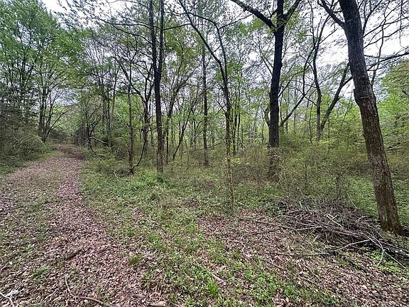 4th image of 226 Butler Pool Rd Lot 1