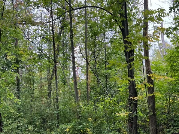 0 Tastor Ln, Fredonia, NY 14063