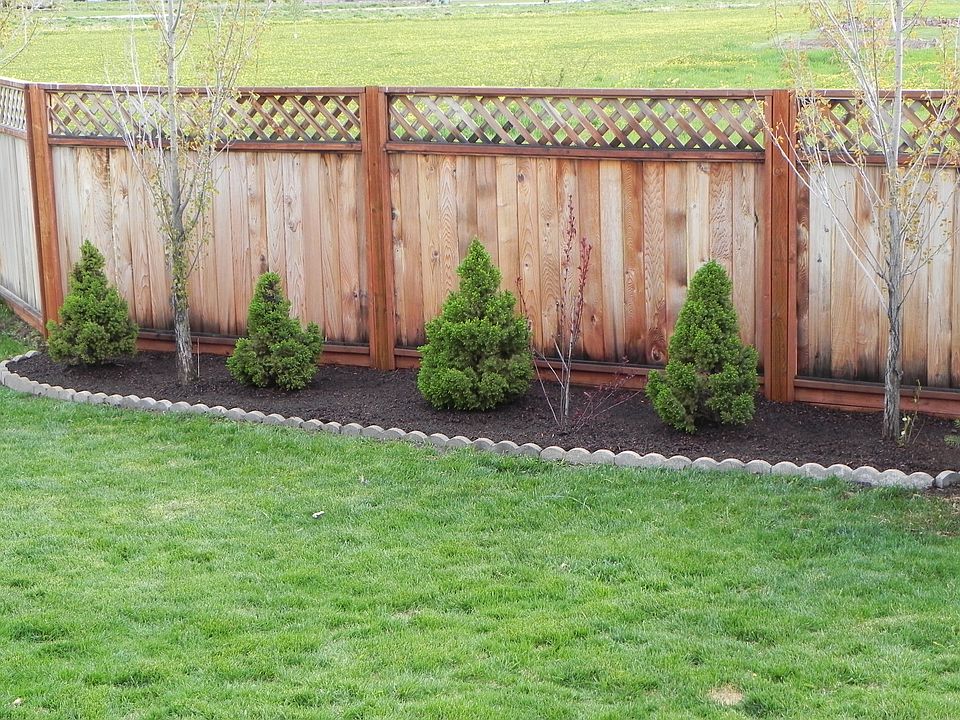 Part of Back yard 