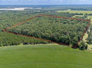 8289 NE Highway 349, Old Town, FL 32680