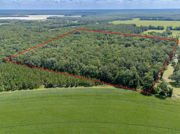 8289 NE Highway 349, Old Town, FL 32680
