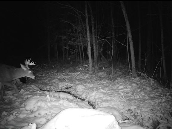 5th image of 556 Beebe Rd
