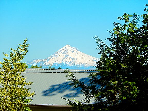 Mt. Hood View