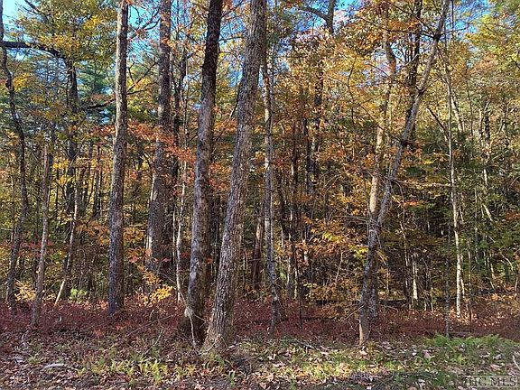 3rd image of 11 Norton Ridge Lane