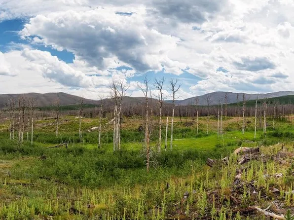 529 Quartz Rd, Bellvue, CO 80512