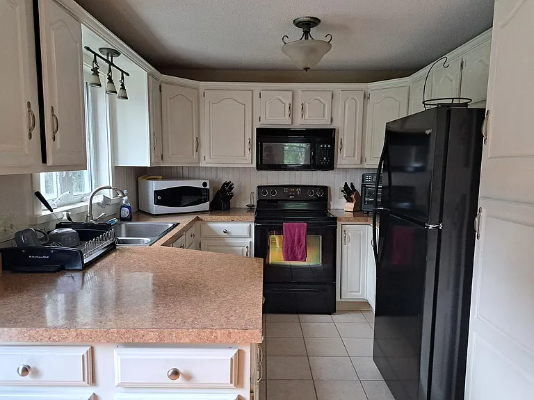 254 Alfred St — Photo 3