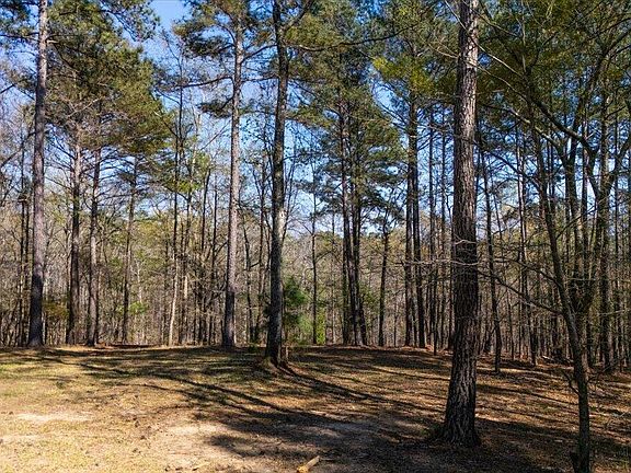 5th image of 0 Pate Rd