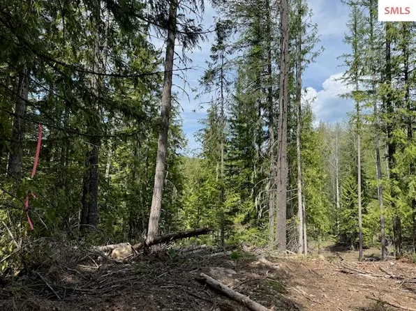 Nna Raven Rdg, Sandpoint, ID 83864