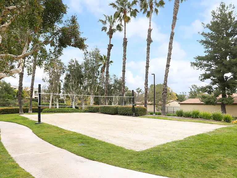 Volleyball Court
