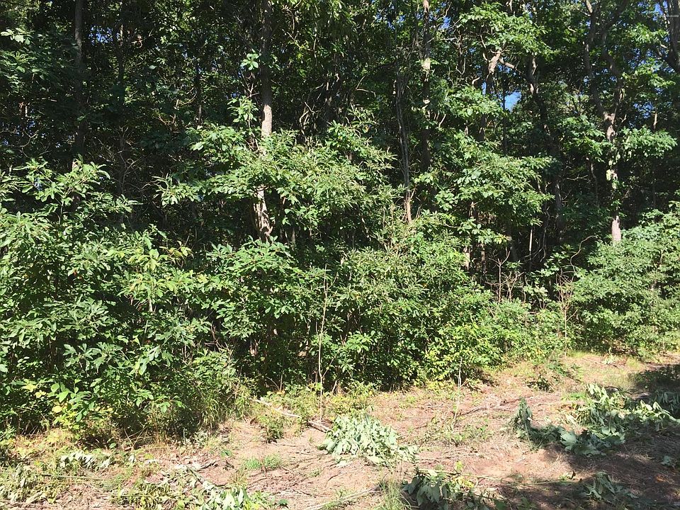 2nd image of Evergreen Ln