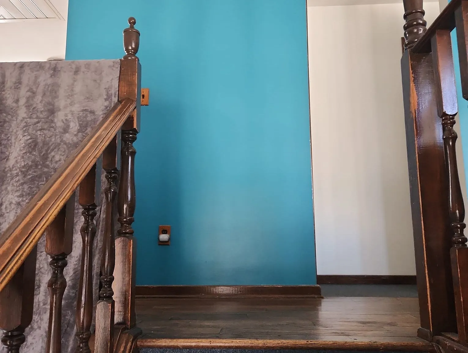1 bed, 100 sqft, $800 — Photo 4