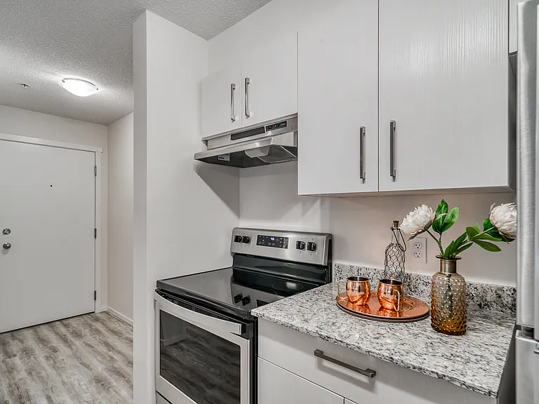 73 Skyview Point Cres NE — Photo 57