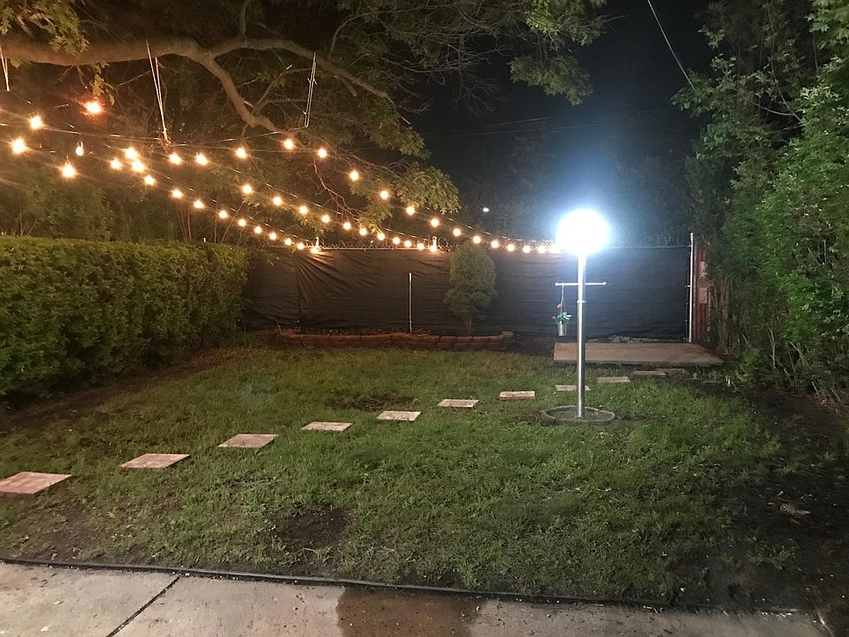 Backyard Night