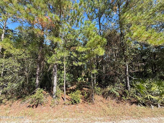 3rd image of 64 Hightower Rd