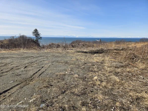 L7 Danver St, Anchor Pt, AK 99556