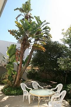2nd image of 1717 Camino De La Costa APT 5