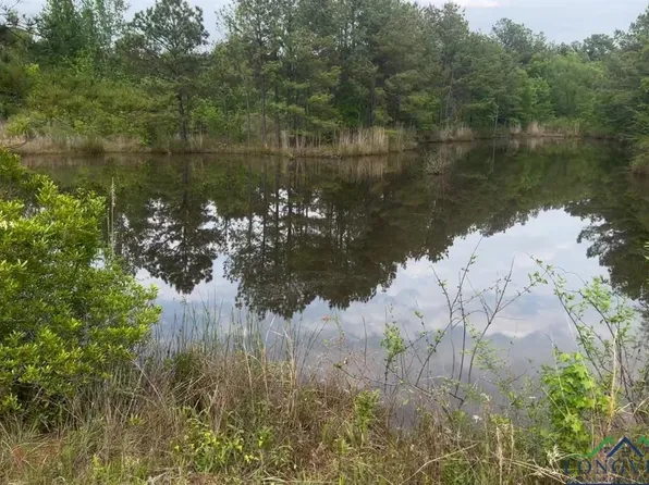 29 Ac Cres #3321, Longview, TX 75602