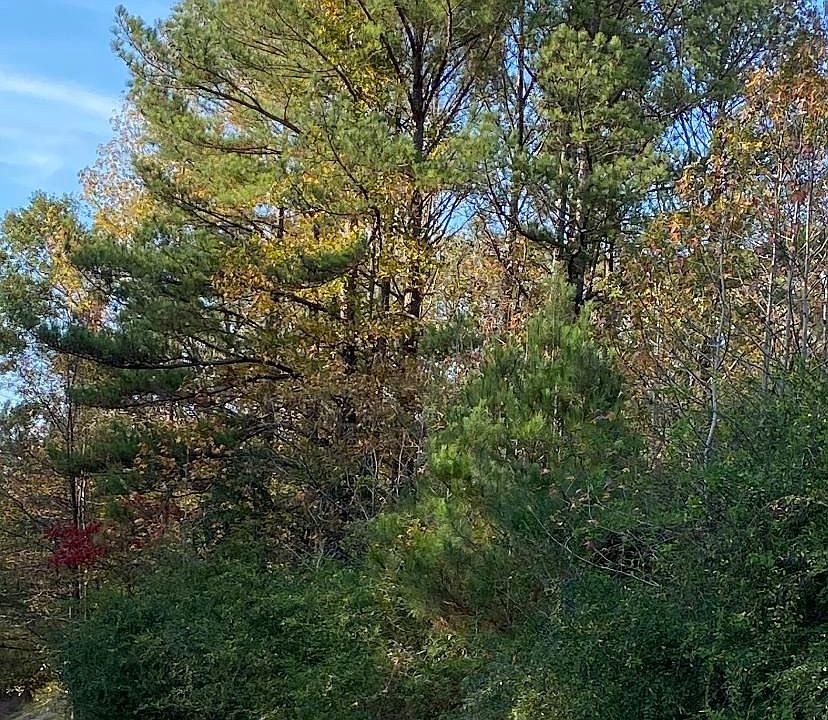 2nd image of 0 County Road 1477