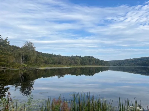 Stramba Rd #42, Cincinnatus, NY 13040