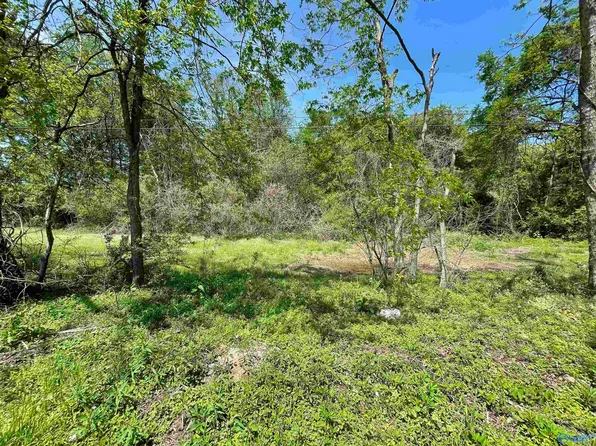 Laurel St SW, Decatur, AL 35603